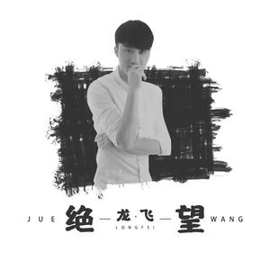 龙飞《绝望(DJ广场舞版伴奏)》[MP3_LRC]