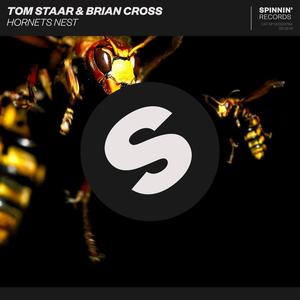 Tom Staar&Brian Cross《Hornets Nest(Extended Mix)》[MP3_LRC]