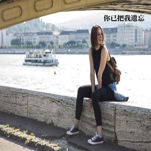 风辰 - 回忆鸟语花香
