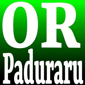 Paduraru《OR(Gym Mix)》[MP3_LRC]