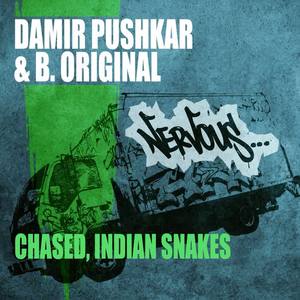 Damir Pushkar&B.Original《Indian Snakes》[MP3_LRC]