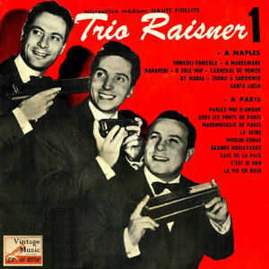 Trio Raisner《O Sole Mío, Carneval De Venise, Ay María, Torna A Surrento, Santa Lucia》[MP3_LRC]