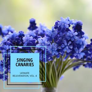 Healed Terra《Sound Like A Sea》