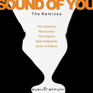 Gushi & Raffunk《Sound of You(Beat Ambasada Remix)》[MP3_LRC]