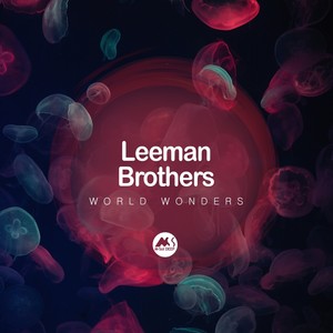 Leeman Brothers《Journey of Force(Original Mix)》[MP3_LRC]