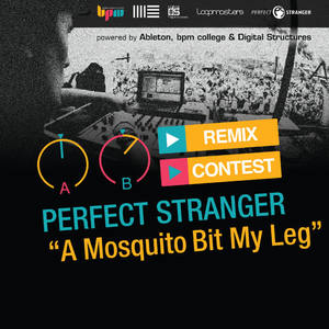 Perfect Stranger&ANTON MINTS《A Mosquito Bit My Leg(Anton Mints Remix)》[MP3_LRC]