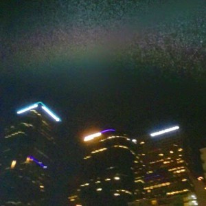 Jon Marine《Dreams》