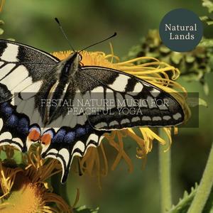 Mr. Austin Nature Hub《Hypnotising Late Morning Breeze》