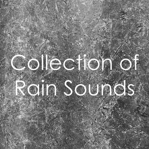 Rain Sound Studio&Loopable Sounds for Babies&Relaxing Music Therapy - Rain Falling on the Veranda