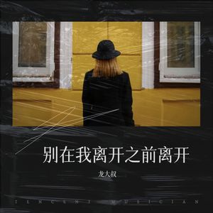 别在我离开之前离开新版龙大叔