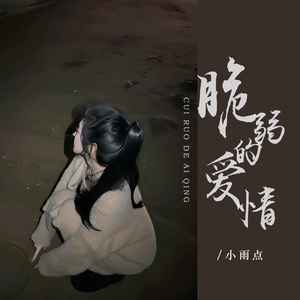 小雨点《脆弱的爱情》[MP3_LRC]