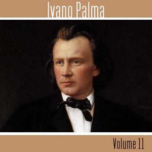 Ivano Palma《No. 13 in B Major》[MP3_LRC]