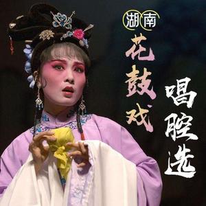 明月情寧鄉正調_花鼓戲_單曲在線試聽_酷我音樂