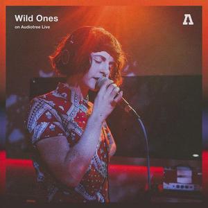 WildOnes《Paresthesia(Audiotree Live Version)》[MP3_LRC]