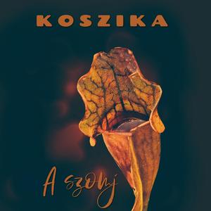 Koszika&Csabaki&Frankie《A szomj(feat. Csabaki & Frankie)》