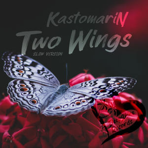 KastomariN《Two Wings(Slow Version)》[MP3_LRC]