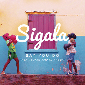 Sigala&Imani Williams&DJ Fresh《Say You Do(Radio Edit)》[MP3_LRC]