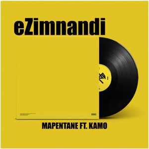 Mapentane&Kamo《eZimnandi(feat. kamo)(Original Mix)》[MP3_LRC]