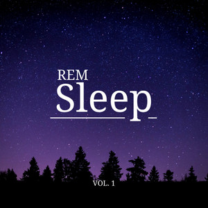 Worldwide Nature Studios《Ambience of Afternoon Rest with Nature Tunes pt. 1》