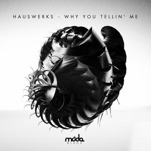 Hauswerks《Why You Tellin' Me》[MP3_LRC]