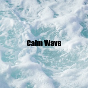 Calm Waves Water《Calm Sound from Seashore》