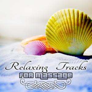 Hatha Yoga Music Zone《Therapeutic Touch》
