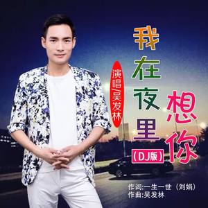 吴发林《我在夜里想你(DJ版伴奏)》[MP3_LRC]