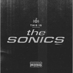 The Sonics《I Don't Need No Doctor》[MP3_LRC]