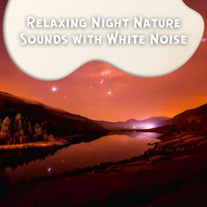 White Noise ASMR&Sounds of the night&Nature Sounds Artists《Loopable, Good Night Nature Rain - White Noise》