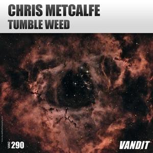 Chris Metcalfe《Tumbleweed》[MP3_LRC]