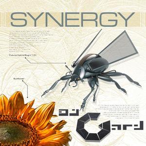 DJ Gard&Synergy《Timewarp (Club Anthem Edit)》[MP3_LRC]