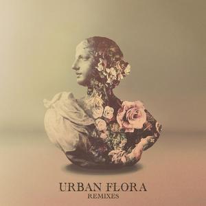 Alina Baraz&Galimatias《Fantasy(Felix Jaehn Remix)》[MP3_LRC]