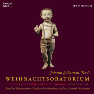 Dresdner Barockorchester&Hans-Christoph Rademann&Gerhild Romberger《Ja, ja, mein Herz soll es bewahren》[MP3_LRC]