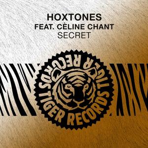 Hoxtones&Cèline Chant《Secret(Dfe Remix)》[MP3_LRC]