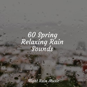 White Noise for Babies&Rainforest&Relaxation Sleep Meditation《Rainy Sunrise Forest Ambience》