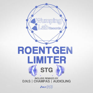 Roentgen Limiter&D.N.S《STG(D.N.S Remix)》[MP3_LRC]