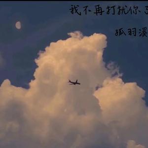 孤羽溪《我不再打扰你了 (cover: 何文宇)》