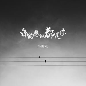 小雨点《痛的想的都是你(伴奏)》[MP3_LRC]