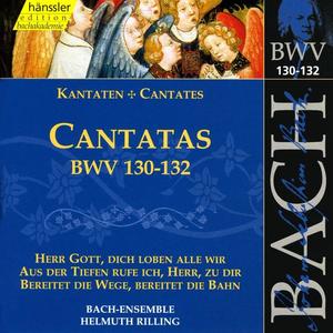 Kathrin Graf&Adalbert Kraus&Stuttgart Bach Collegium&Helmuth Rilling《Recitative: Wohl aber uns, dass Tag und Nacht (Soprano, Tenor)》[MP3_LRC]