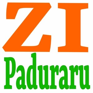 Paduraru《ZI(Fit Mix)》[MP3_LRC]