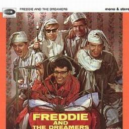 Freddie&The Dreamers《He Got What He Wanted》[MP3_LRC]