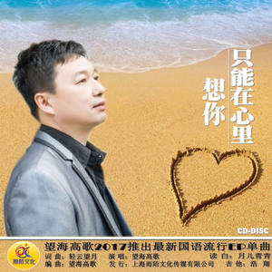 望海高歌《想你只能在心里》[MP3_LRC]