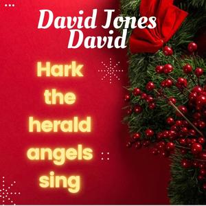 David Jones David《Hark The Herald Angels Sing》[MP3_LRC]