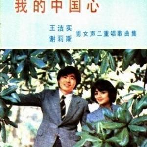 王洁实《鼓浪屿之波(Single Version)》[MP3_LRC]