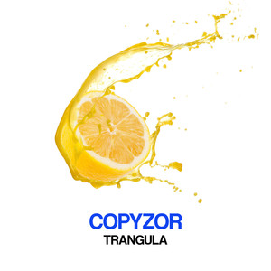 Copyzor《Tarangula(Roland Boggio Remix)》[MP3_LRC]