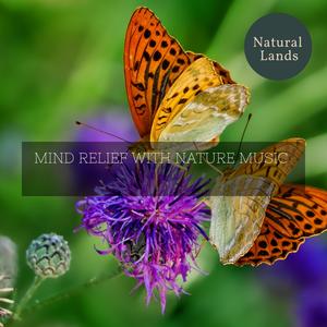 Eric Library of Nature Sounds《Whitetail Lizard》[MP3_LRC]