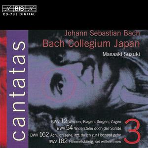 米良美一&Bach Collegium Japan&Masaaki Suzuki《Wer Sunde tut (Alto)》[MP3_LRC]