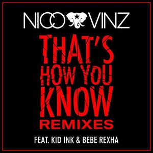 Nico And Vinz&Kid Ink&Bebe Rexha《That's How You Know(Danny Lee Remix)》[MP3_LRC]