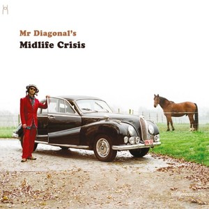 Mr Diagonal《Wednesday Afternoons》