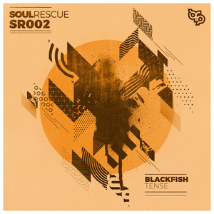 blackfish&Maximilian Lopp《Infinite》